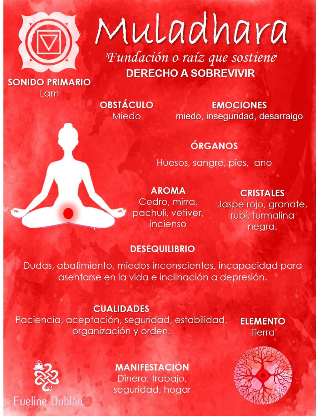 Muladhara (1er Chakra): Ficha del chakra